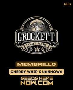 Membrillo (regular) - Crockett Family Farms