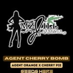 Mz Jill Genetics - Agent Cherry Bomb (Feminized)