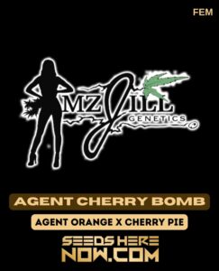 Mz Jill Genetics - Agent Cherry Bomb {fem}