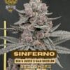 Sinferno (feminized) - Solfire Gardens