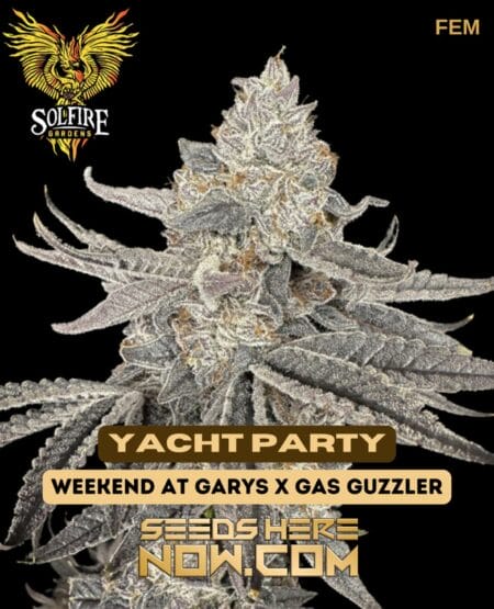 Solfire Gardens - Yacht Party {fem}