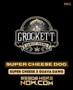 Super Cheese Dog (regular) - Crockett Family Farms