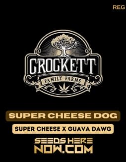 Super Cheese Dog (Regular) - Crockett Family FarmsSuper Cheese Dog (Regular) - Crockett Family Farms