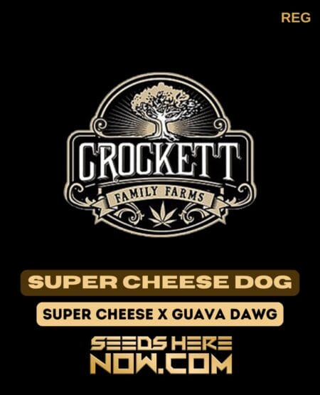Super Cheese Dog (regular) - Crockett Family Farms