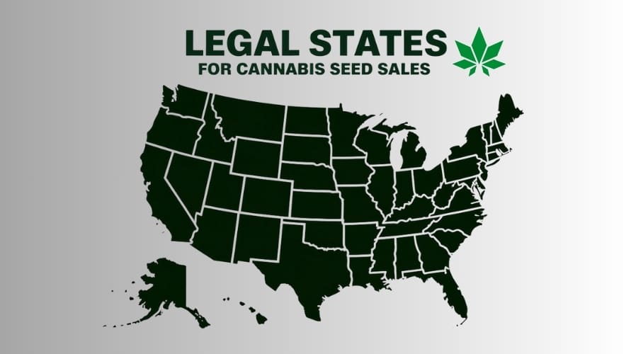 Legal States for Cannabis Seed Sales