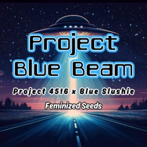 Project Blue Beam Strain Art