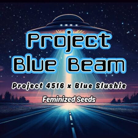 Project Blue Beam Strain Art