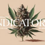 Indicators Cbd Strain Review