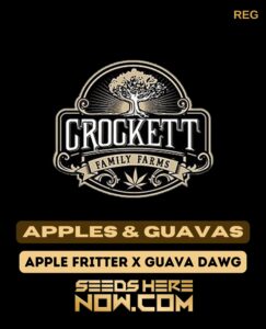 Apples & Guavas (Regular) – Crockett Family Farms