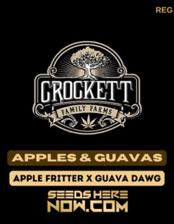 Apples & Guavas (Regular) – Crockett Family Farms
