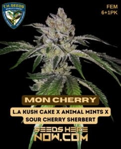 Mon Cherry Bonus Pack (feminized) - T.h. Seeds
