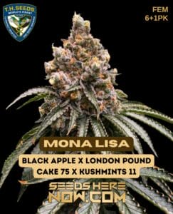 Mona Lisa Bonus Pack (feminized) - T.h. Seeds