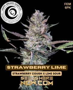 Strawberry Lime (Feminized) - Happy Dreams Genetics