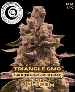 Triangle GMO (Feminized) - Happy Dreams Genetics