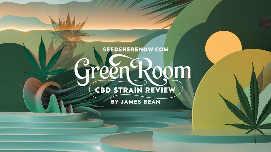 Green Room CBD Strain: A Comprehensive Review