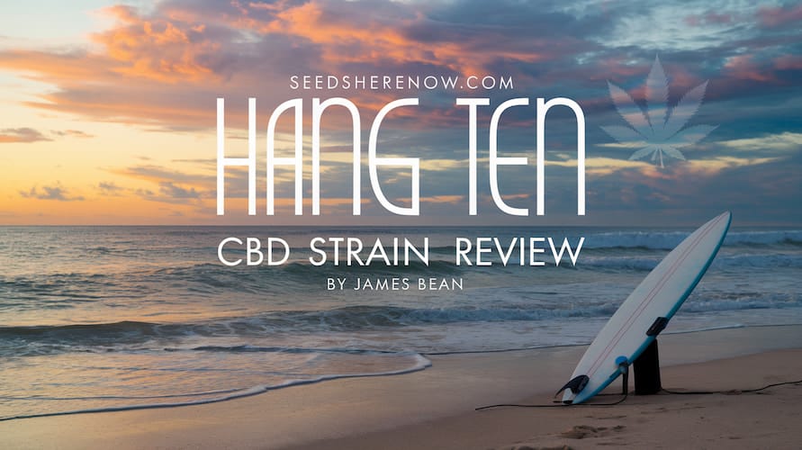 Hang Ten CBD Strain Review: A Chill Wave of Wellness