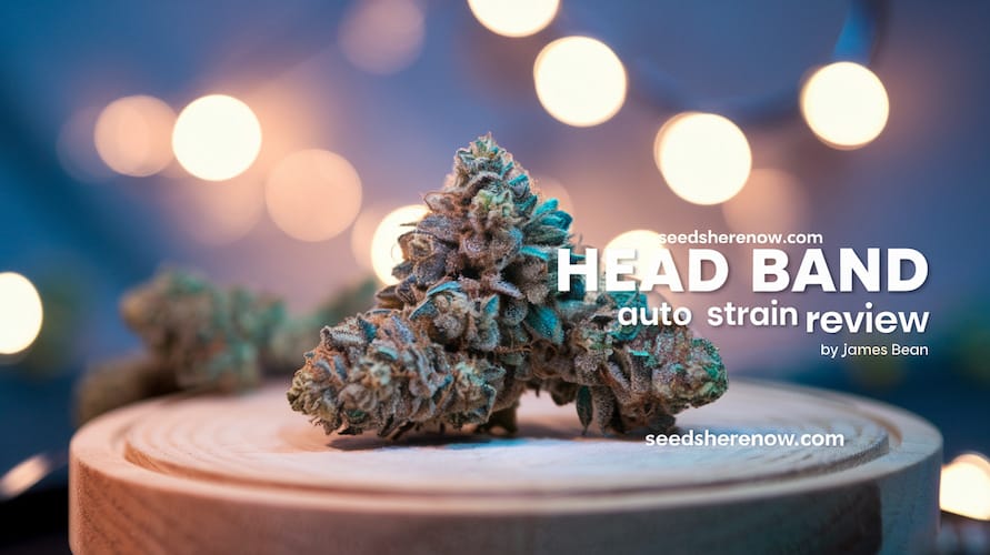 Head Band Auto Strain: A Comprehensive Review