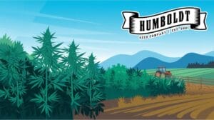 Humboldt-seed-company-review - Seeds Here Now Humboldt Seed Company: Where the Weed is Dank and the People Are Danker