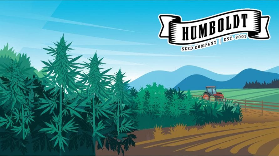 Humboldt Seed Company: Where the Weed is Dank and the People are Danker