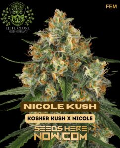 Nicole Kush S1 (feminized) - Elite Clone Seed Company