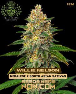 Willie Nelson S1 (feminized) - Elite Clone Seed Company
