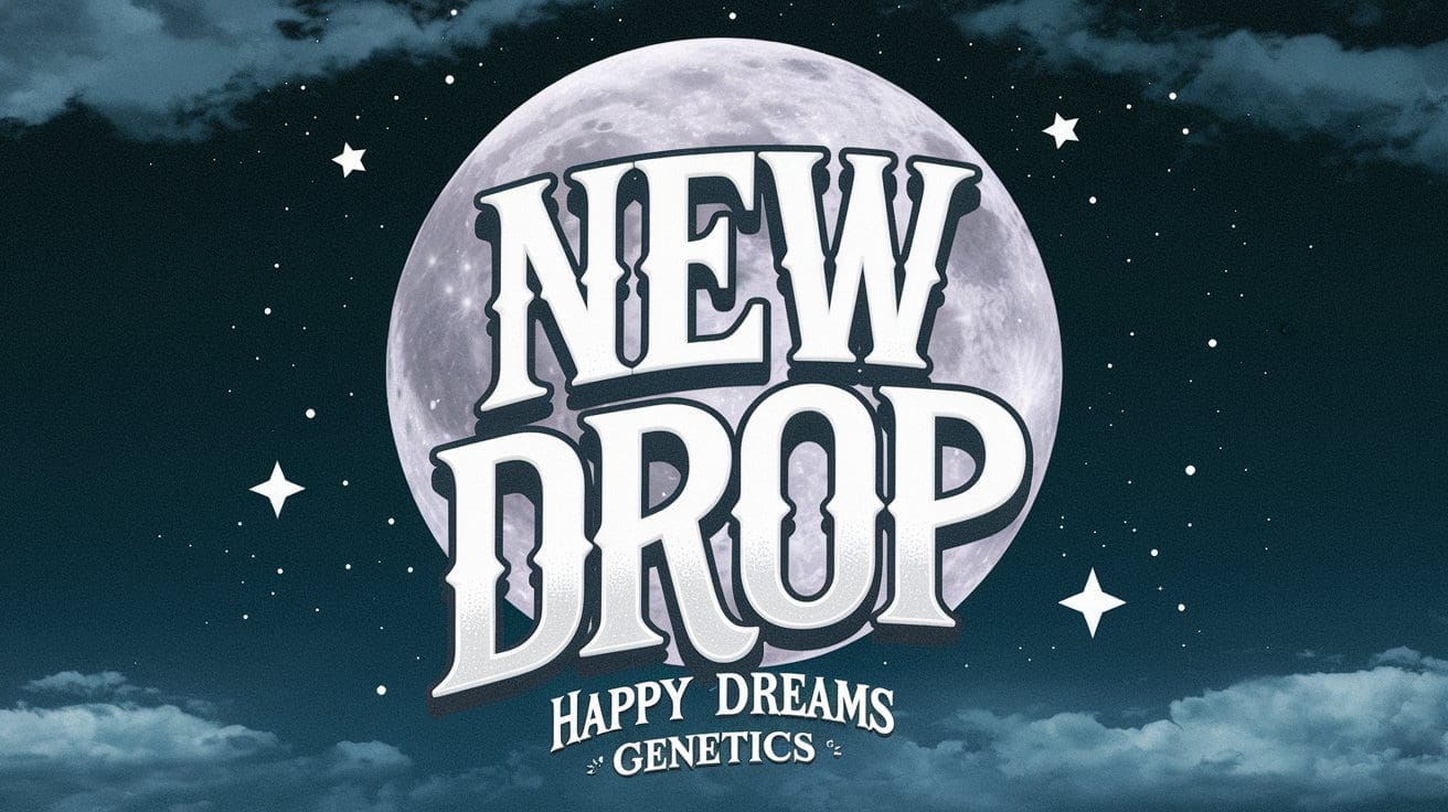 Happy Dream drop