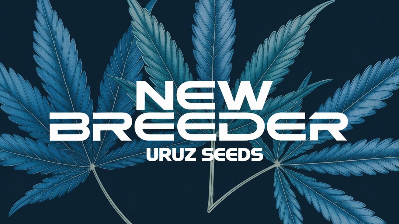 New Breeder: Uruz Seeds