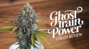 Ghost Train Power strain review