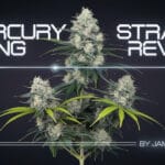 Mercury Rising Strain Review