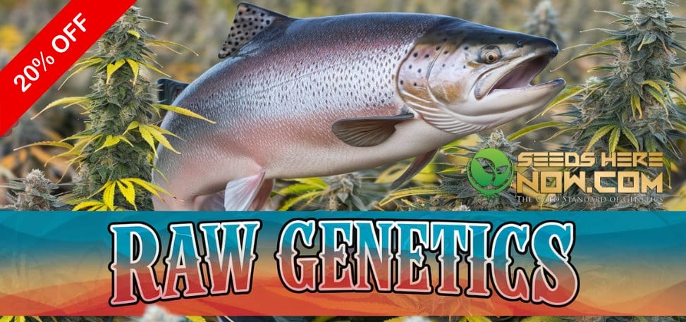 Raw Genetics flash sale