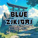 Blue Zikigai (Feminized) - Raw Genetics