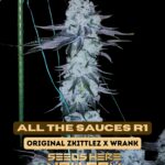 All the Sauces R1 (Feminized) - Ethos Genetics