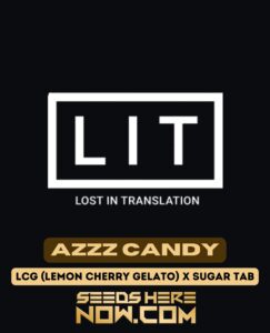 Azzz Candy (feminized) - Lit Farms
