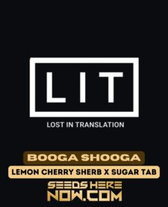 Booga Shooga (feminized) - Lit Farms