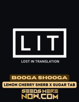 Booga Shooga (Feminized) (space) LIT Farms