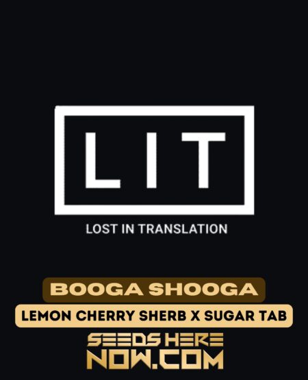 Booga Shooga (feminized) - Lit Farms