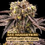 M.C. Nuggets R1 (Feminized) - Ethos Genetics