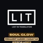 Soul Glow (Feminized) - LIT Farms