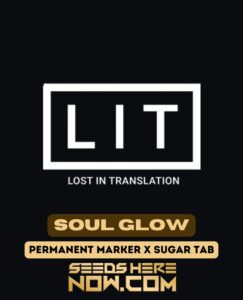 Soul Glow (feminized) - Lit Farms