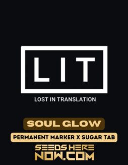 Soul Glow (Feminized) (space) LIT Farms