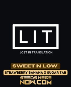 Sweet N Low (feminized) - Lit Farms