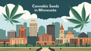 Minnesota cannabis seed laws