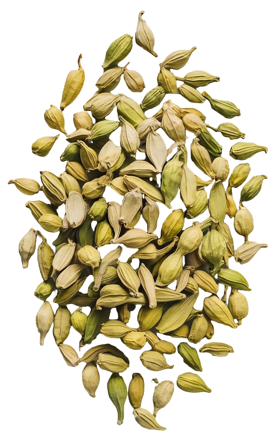 Regular Seeds
