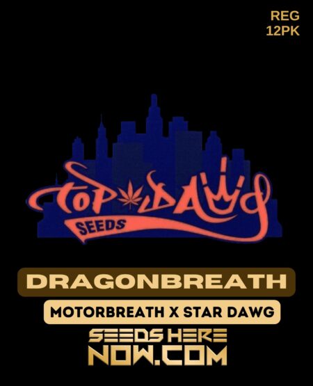 Dragonbreath (regular) - top dawg seeds