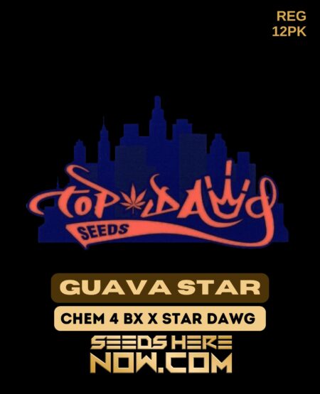 Guava Star (regular) - Top Dawg Seeds