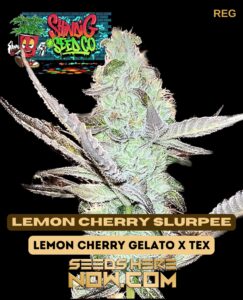 Lemon Cherry Slurpee (regular) - Shindig Seed Co.