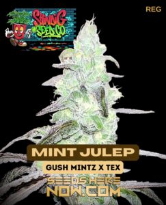 Mint Julep (regular) - Shindig Seed Co.