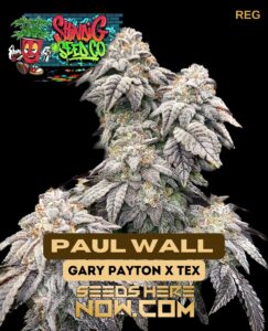 Paul Wall (regular) - Shindig Seed Co.
