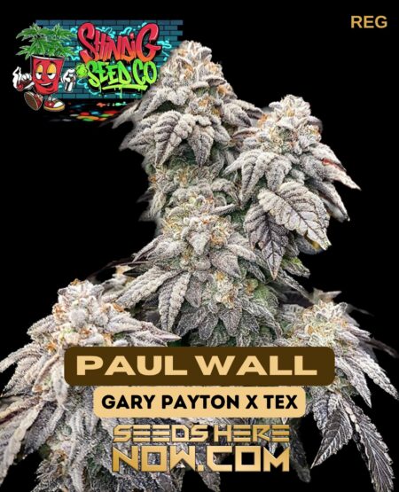 Paul wall (regular) - shindig seed co.