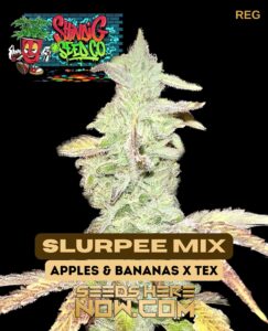 Slurpee Mix (regular) - Shindig Seed Co.
